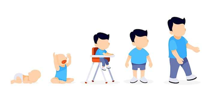 رشد کودک رشد کودک