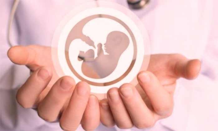 استفاده از توالت فرنگی (و استفاده موبایل) بعد از انتقال جنین+ نکات