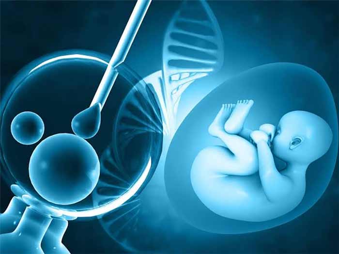 ivf و انتقال جنین 